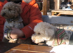 IMG_4981.jpg